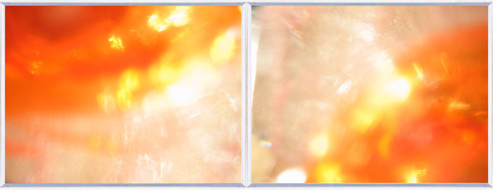 Werkgruppe: Ein Teller - Wetten das