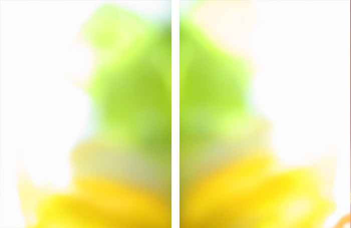 Werkgruppe: Ein Teller - Wetten das