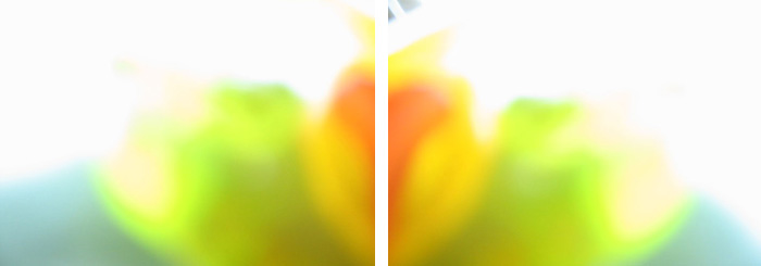 Werkgruppe: Ein Teller - Wetten das