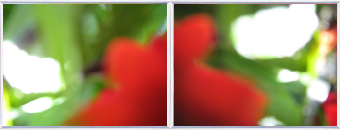 Gestern weiß II und III