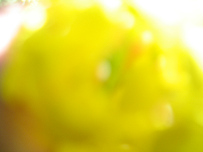Non