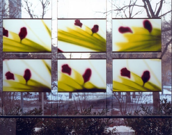 o.T. | 6-teilige Fotoarbeit, je 50 x 70 cm | Glasfenster fluorgestrahlt | 20066
